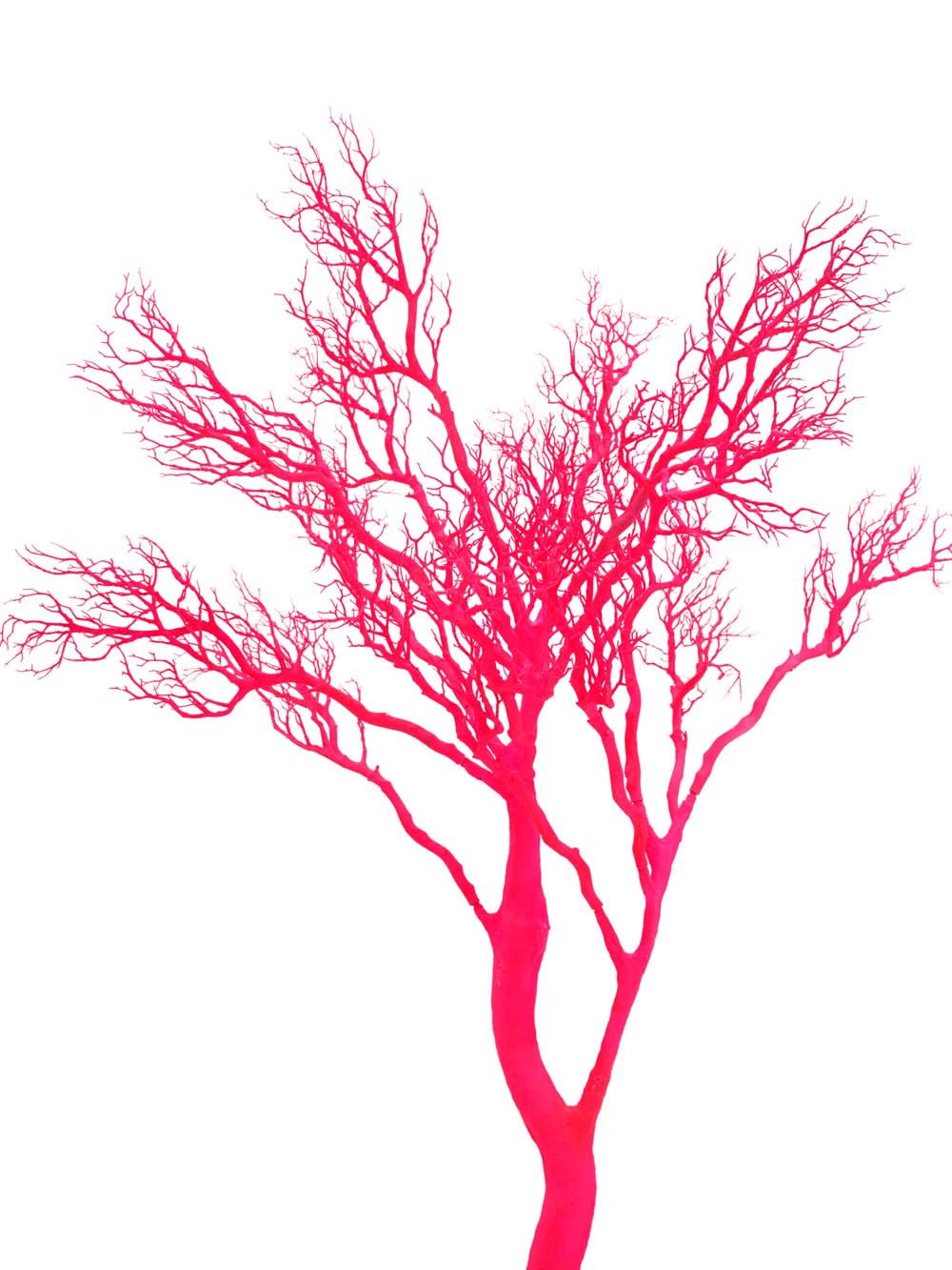 SN15810 _Y-Shaped Tree (2.7m) - UV Pink_event_prop_hire_EPH_Creative_209 copy _optimised