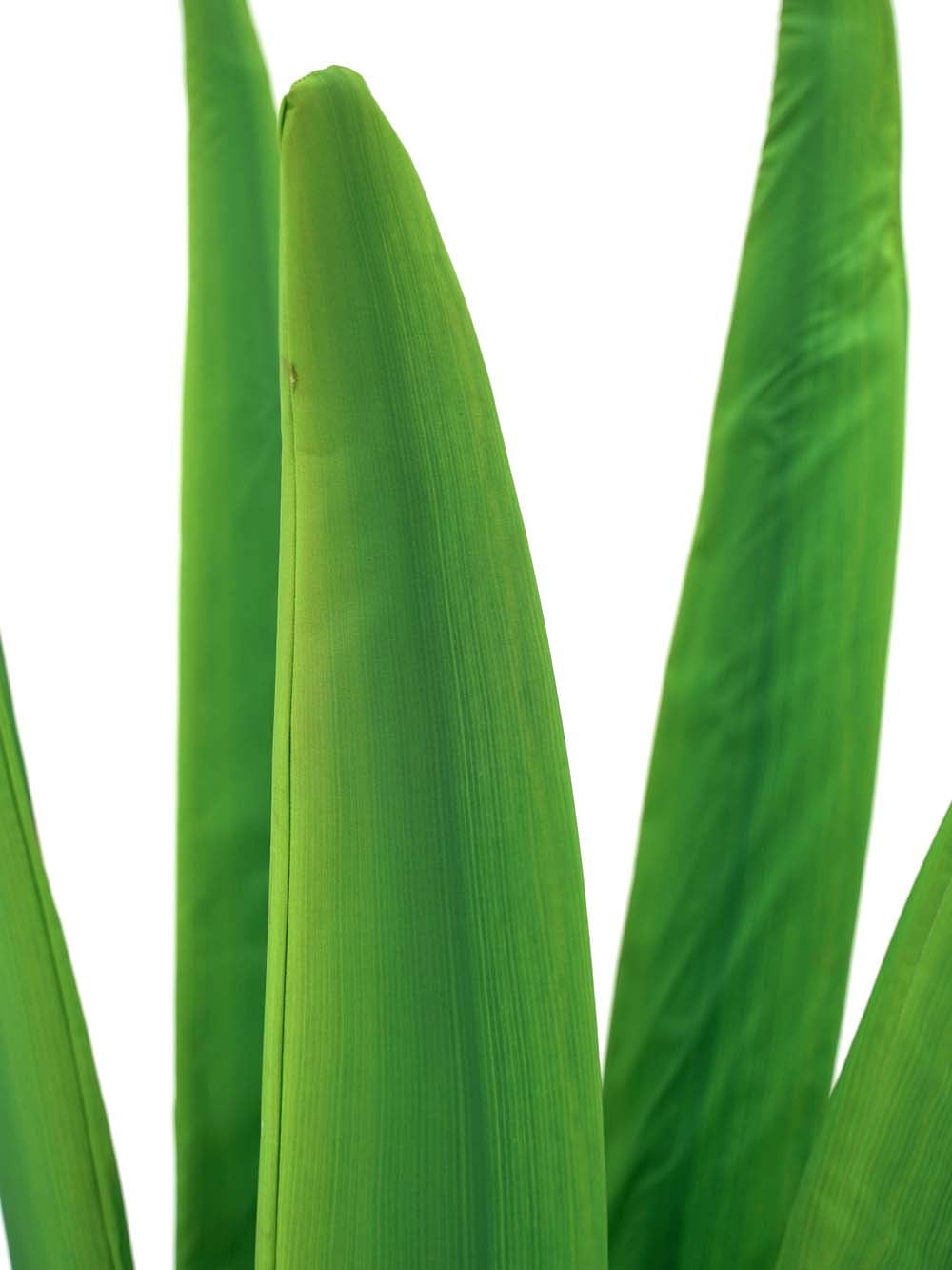 SN15827 _Giant Blades of Grass - Cluster of 5_event_prop_hire_EPH_Creative_276 copy _optimised