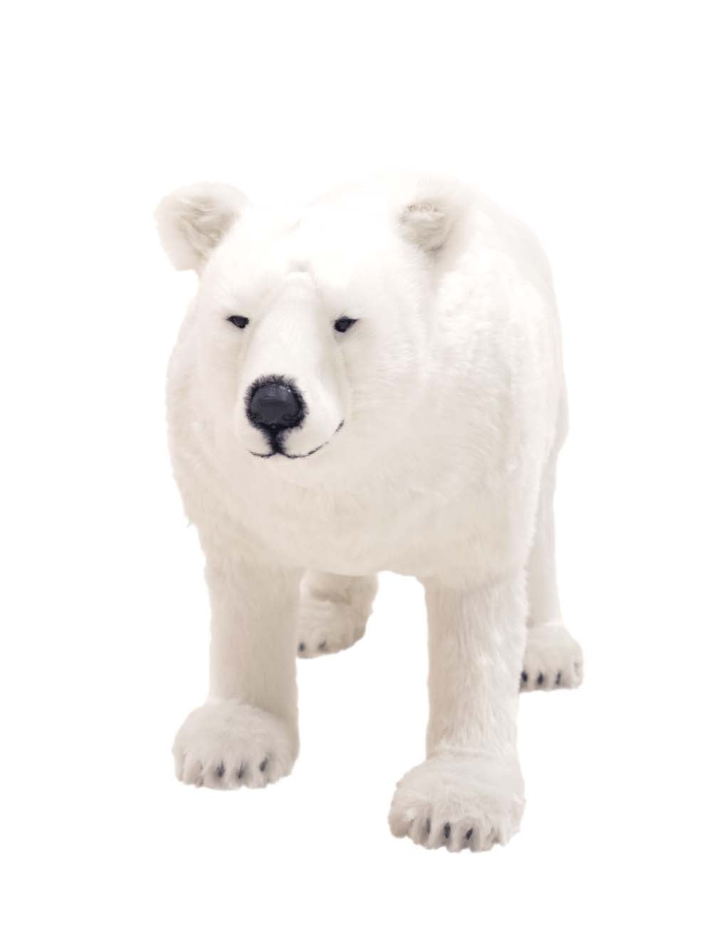 SN16379 _Furry Polar Bear - Medium_event_prop_hire_EPH_Creative_133 copy _optimised