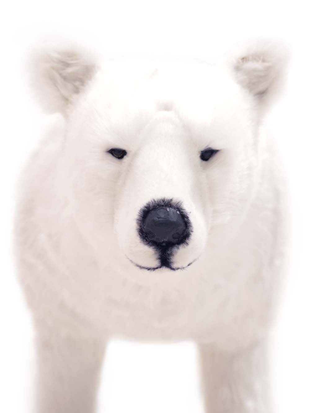 SN16379 _Furry Polar Bear - Medium_event_prop_hire_EPH_Creative_142 copy _optimised