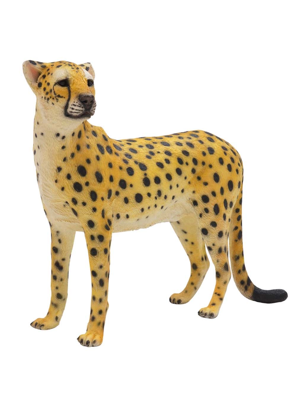 SN16523 _Cheetah_event_prop_hire_EPH_Creative_159 copy _optimised