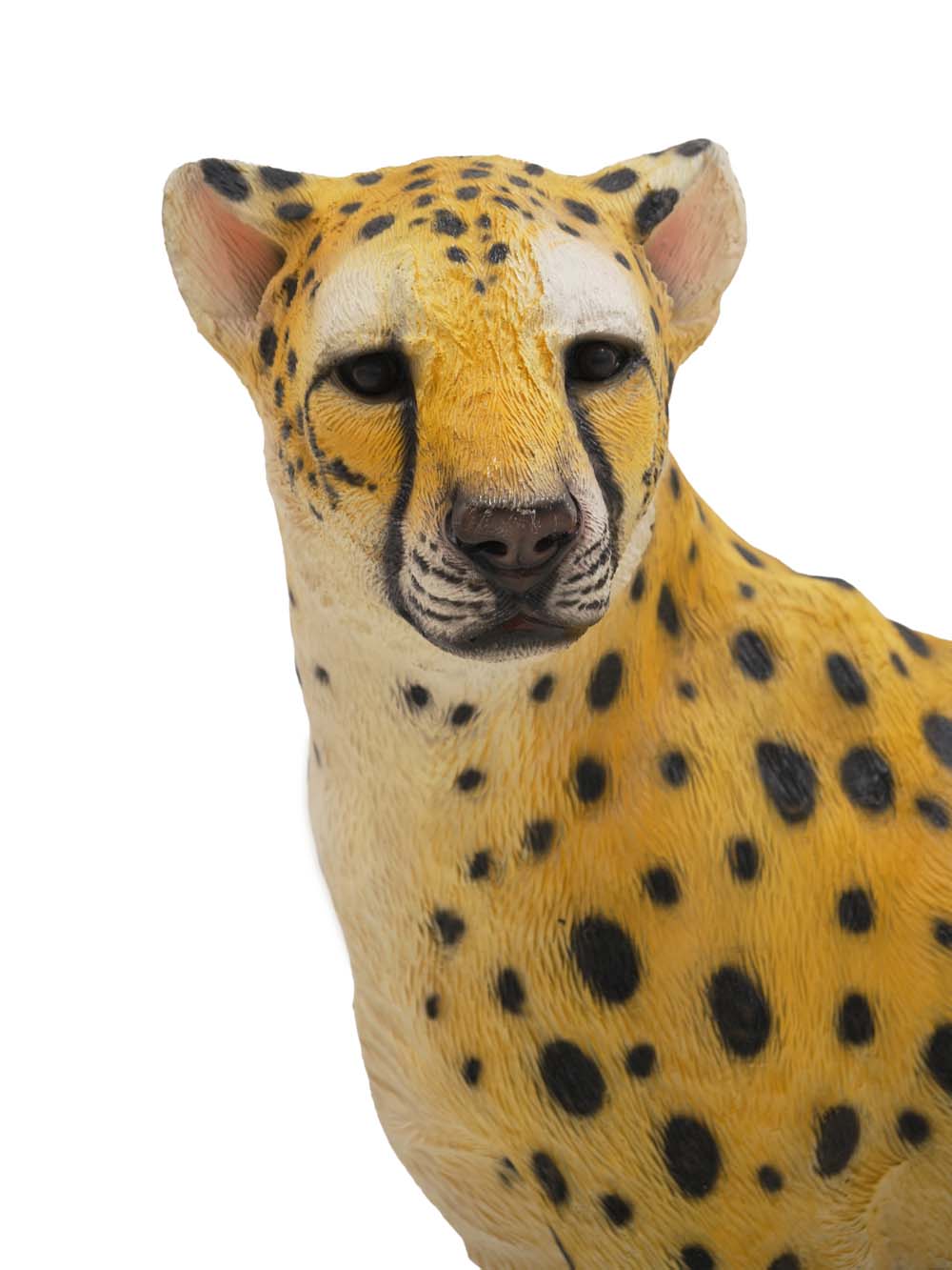 SN16523 _Cheetah_event_prop_hire_EPH_Creative_161 copy _optimised