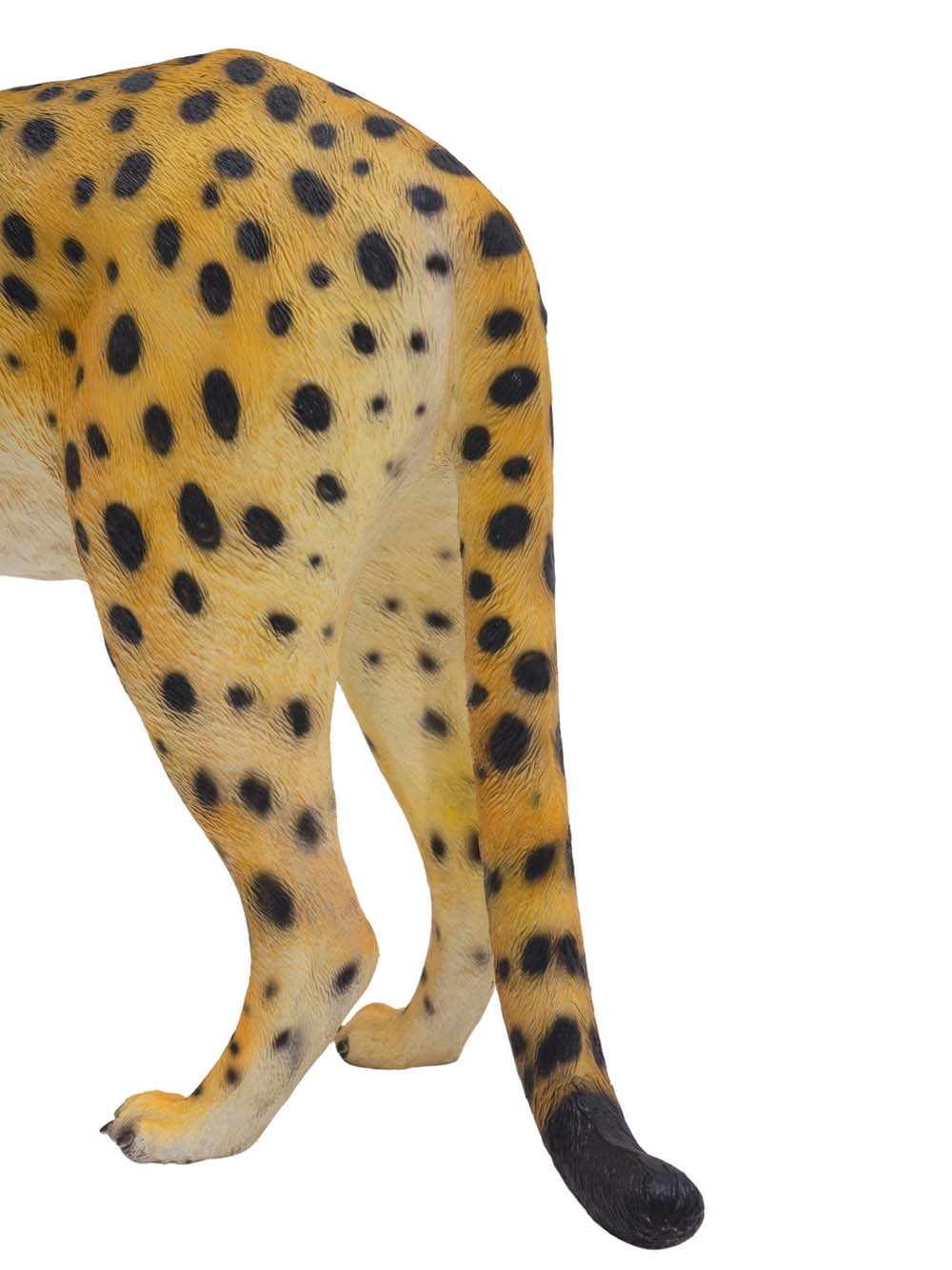 SN16523 _Cheetah_event_prop_hire_EPH_Creative_164 copy _optimised