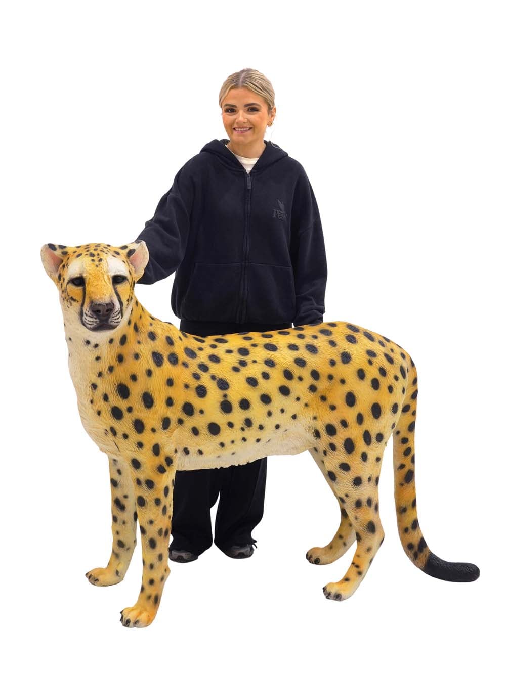 SN16523 _Cheetah_event_prop_hire_EPH_Creative_171 copy _optimised