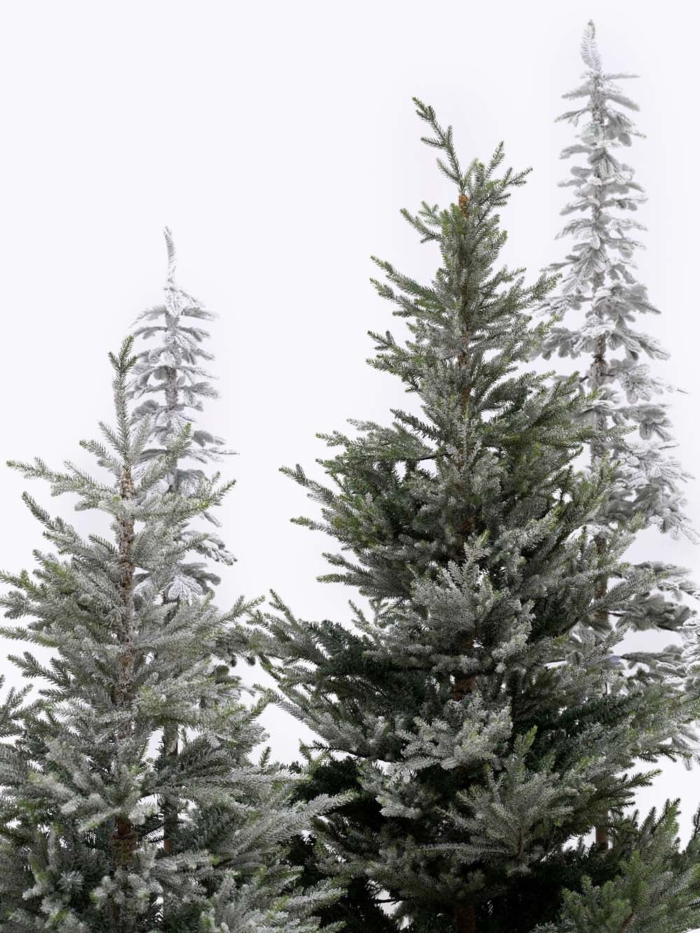 SN16970 _Winter Tree Montage - Extra Large_event_prop_hire_EPH_Creative_143 copy _optimised