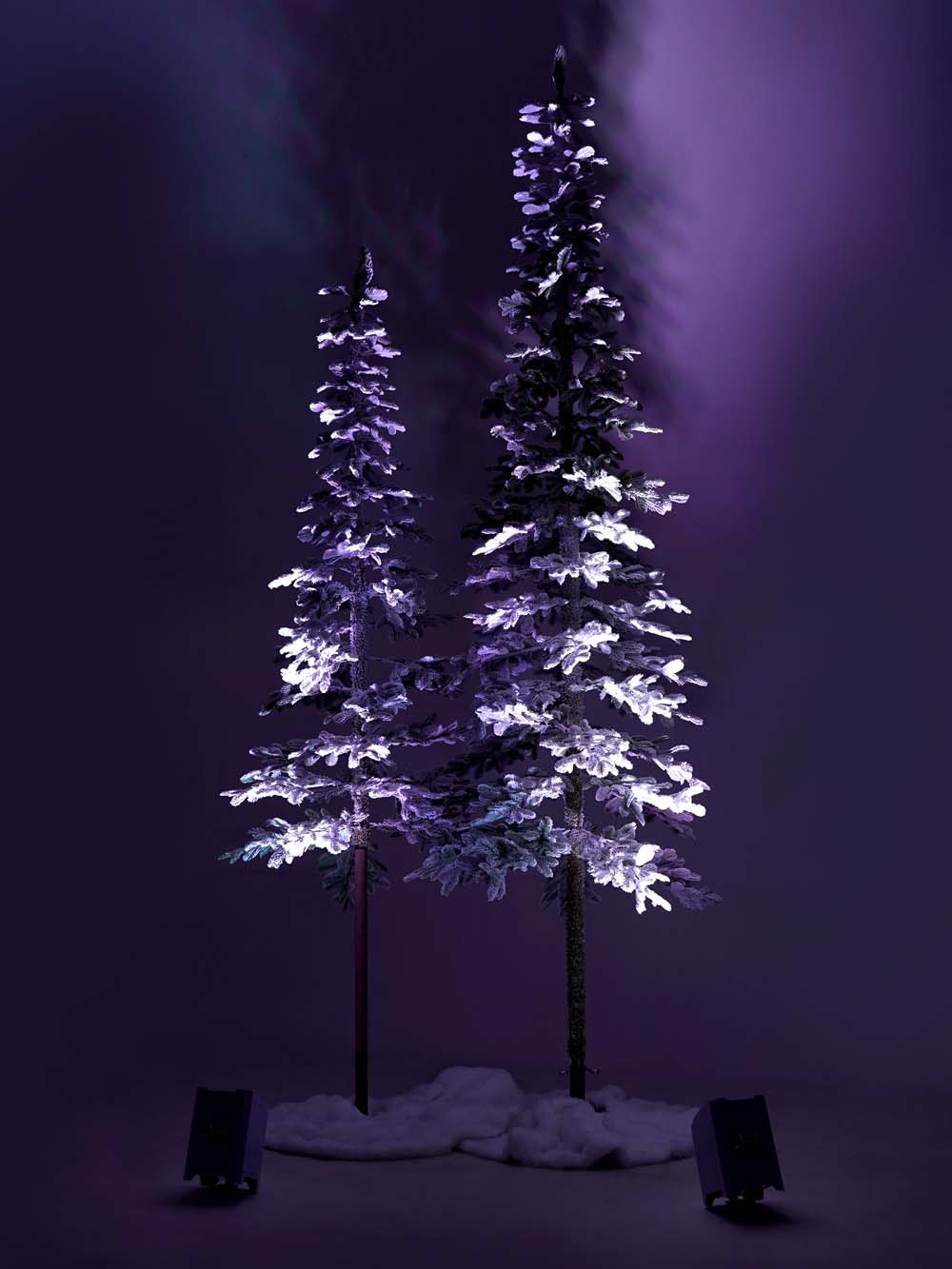 SN16971 _Winter Tree Montage - Tall_event_prop_hire_EPH_Creative_179 copy _optimised