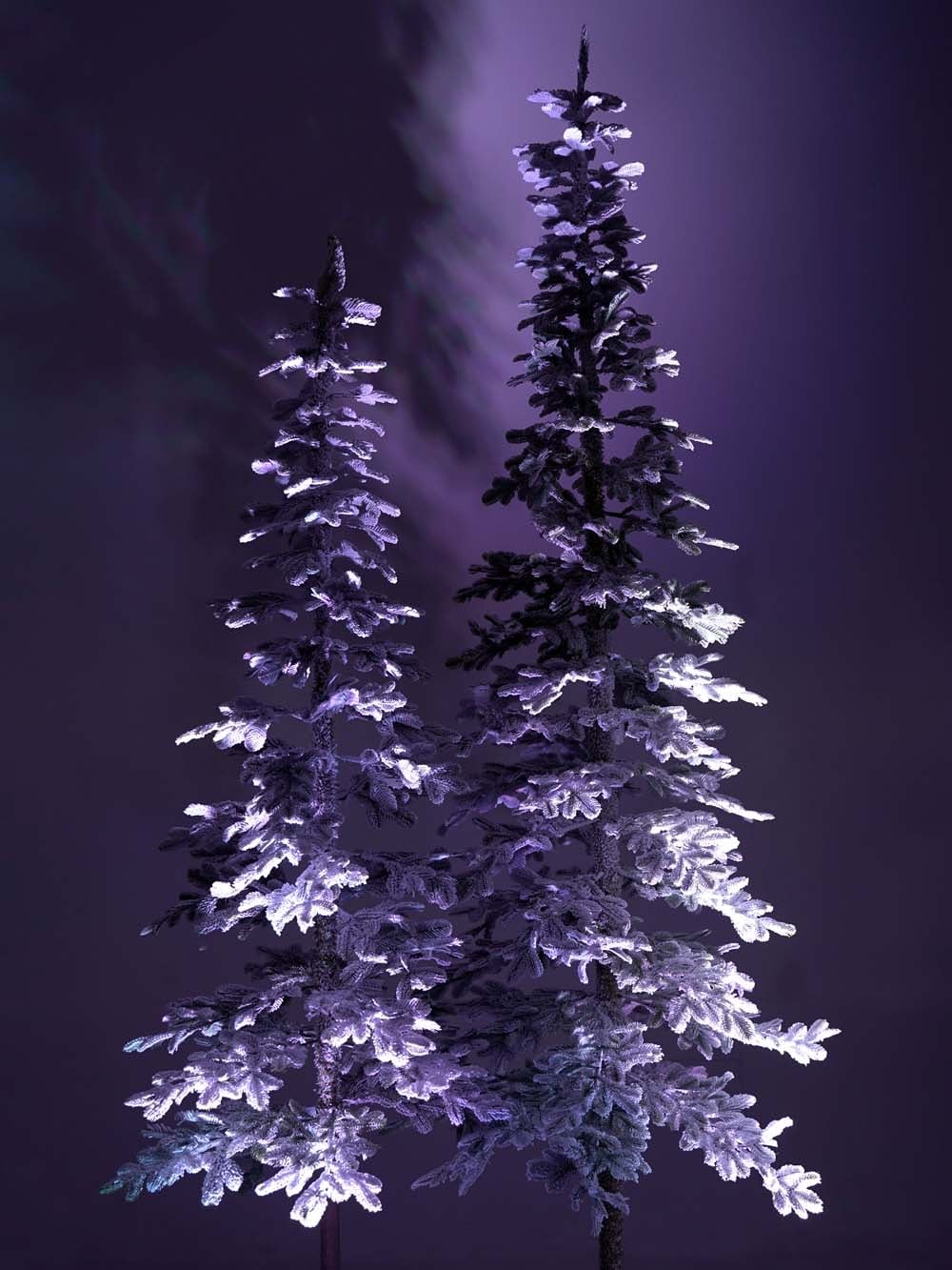 SN16971 _Winter Tree Montage - Tall_event_prop_hire_EPH_Creative_183 copy _optimised