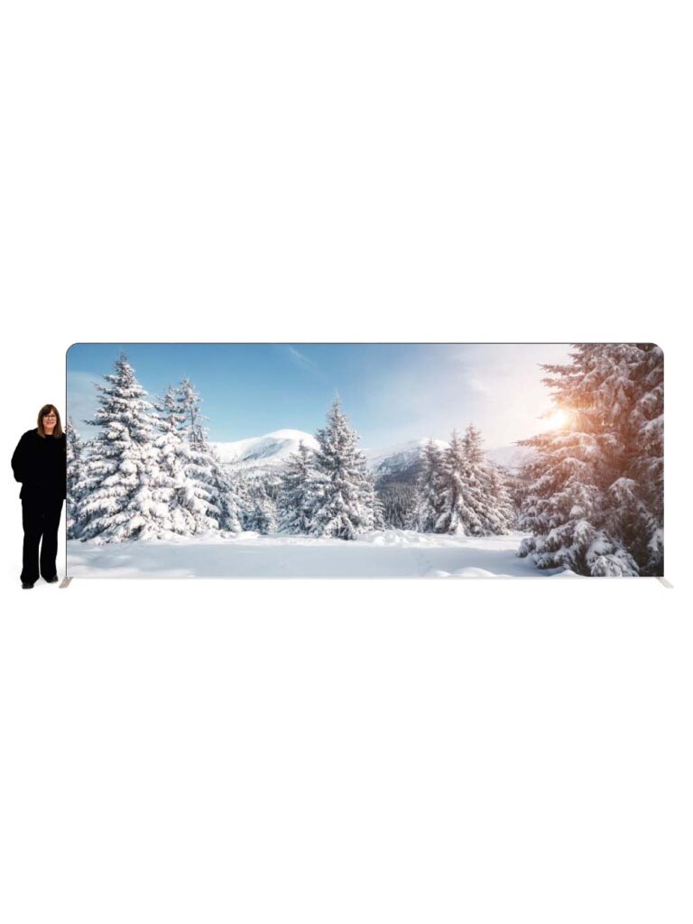 Double Sided Backdrop – Snowy Forest Scene #2 – 2.3m x 6m