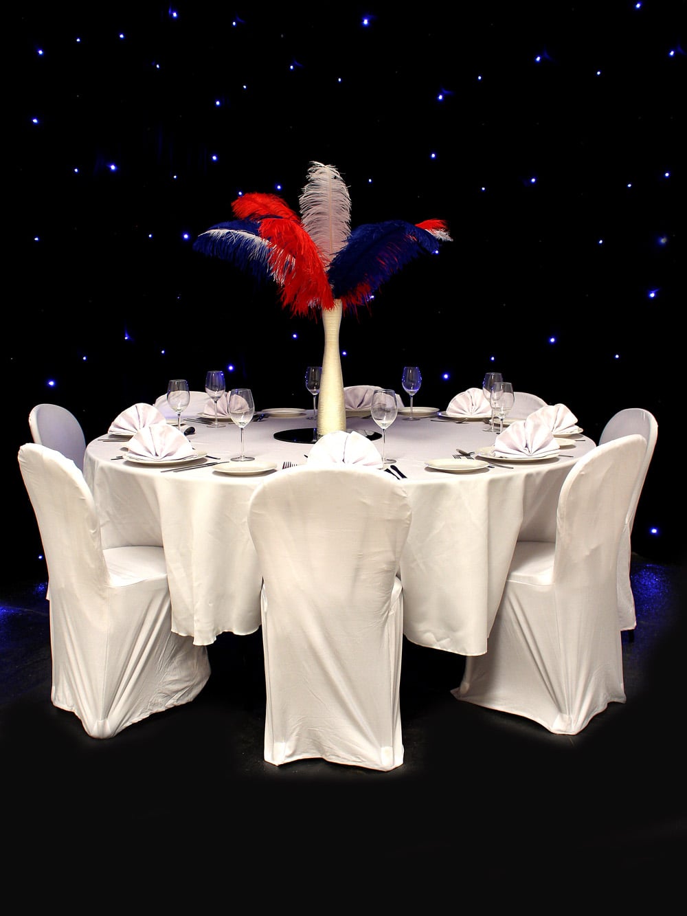 SN2831_Red, White & Blue Feather Display in Gold Vase_event prop hire_0003_Red White & Blue_event prop hire_0003IMG_4423 copy