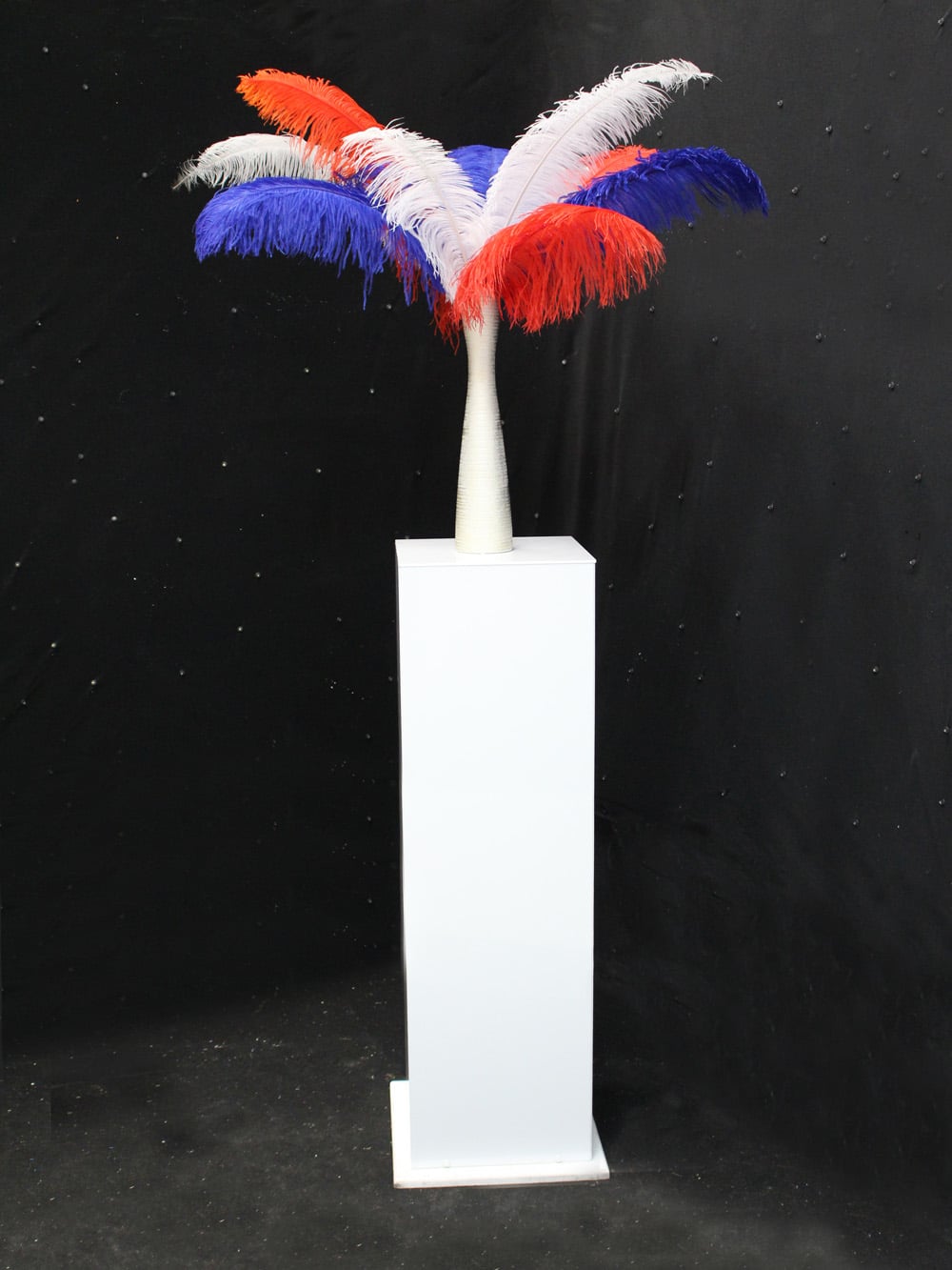 SN2831_Red, White & Blue Feather Display in Gold Vase_event prop hire_0009_Red White & Blue_event prop hire_0009IMG_4441 copy