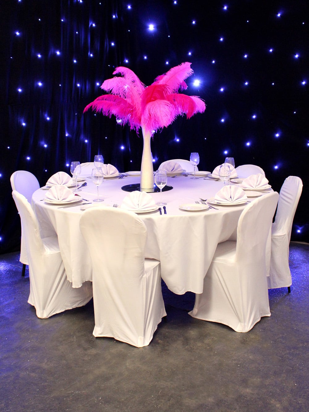 SN2957_Hot Pink & Fuchsia Feather Display in Gold Vase_event prop hire_0003_Hot Pink & Fuchsia_event prop hire_0285IMG_5466 copy_optimised