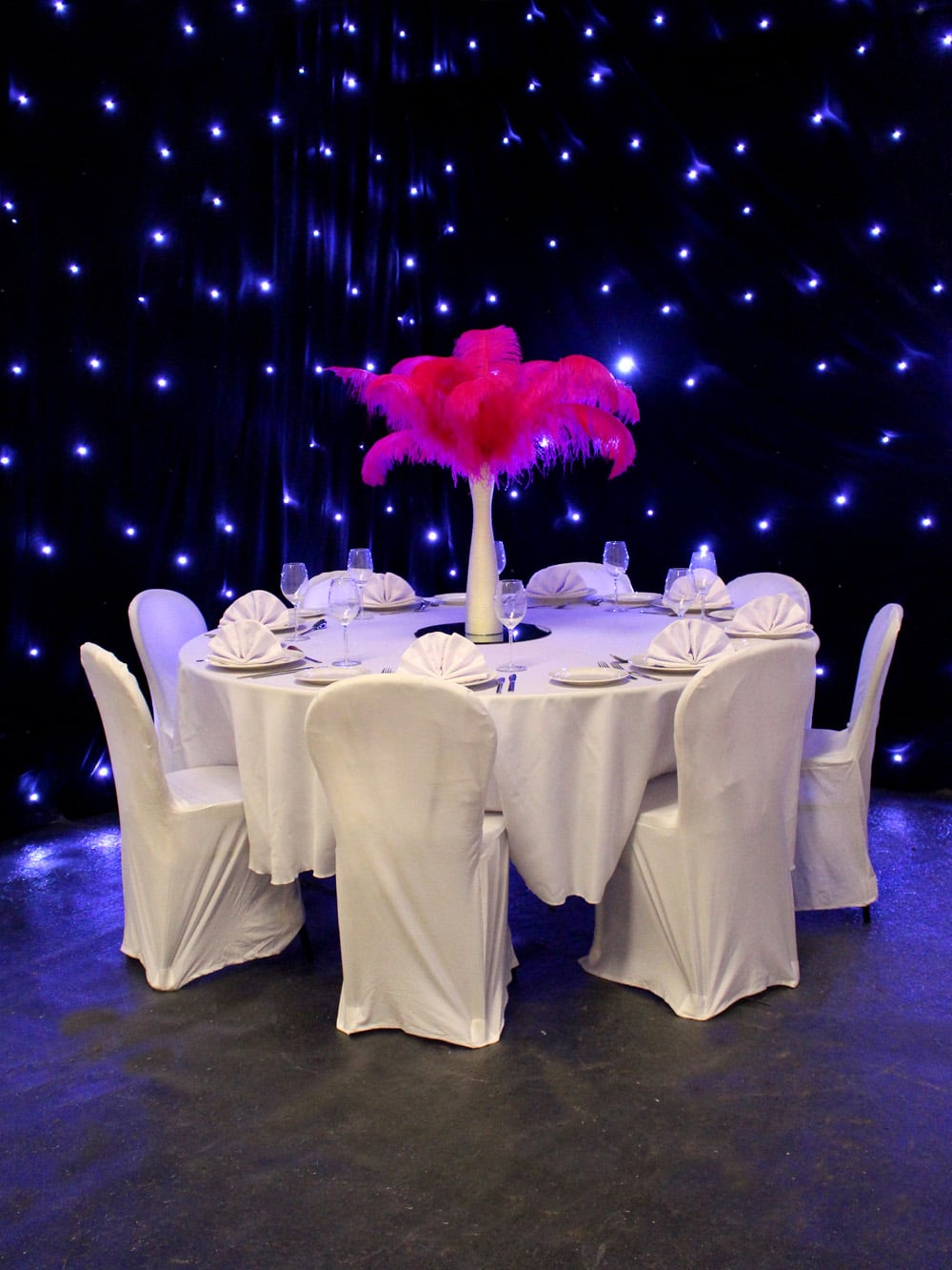 SN2974_Fuchsia Feather Display in Gold Vase_event prop hire_0003_Fuchsia_event prop hire_0348IMG_4700 copy_optimised