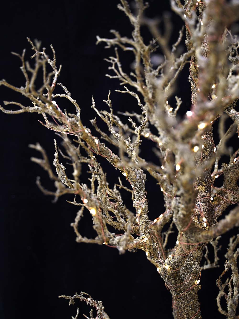 SN17416_Illuminated Bare Twig Tree - 1.9m - (Warm White)_event_prop_hire_EPH_Creative (18) copy