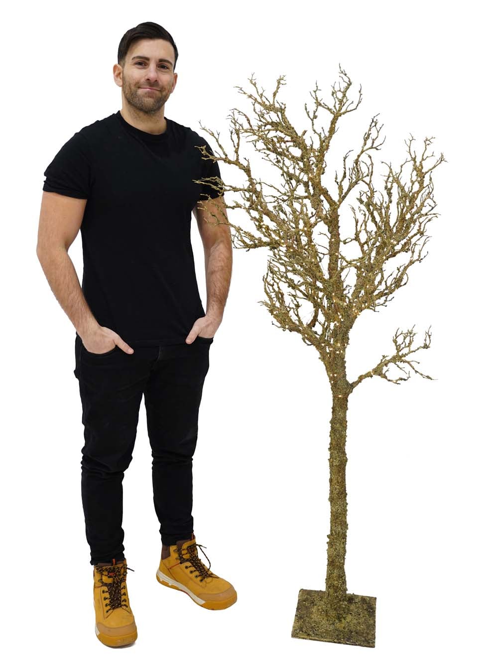 SN17416_Illuminated Bare Twig Tree - 1.9m - (Warm White)_event_prop_hire_EPH_Creative (5) copy _optimised
