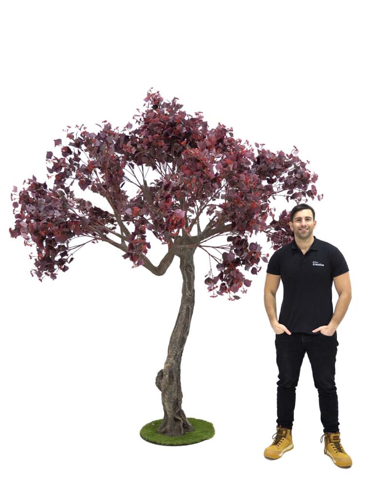 Twisted Trunk Tree (2.9m) – Burgundy Foliage/Berry