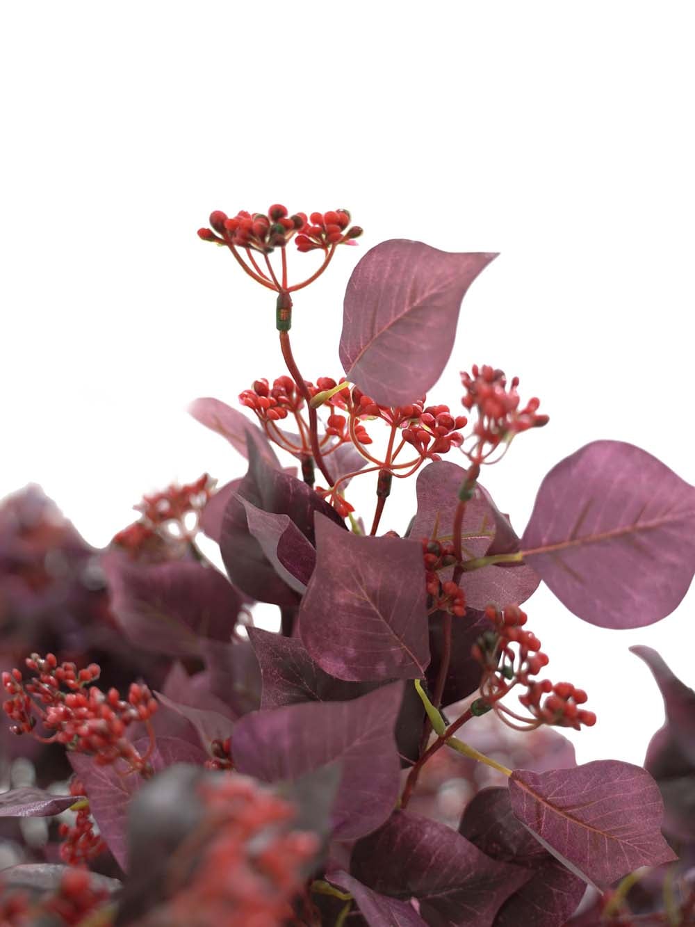 SN17450_Twisted Trunk Tree (2.9m) - Burgundy Foliage_Berry_event_prop_hire_EPH_Creative (18) copy _optimised