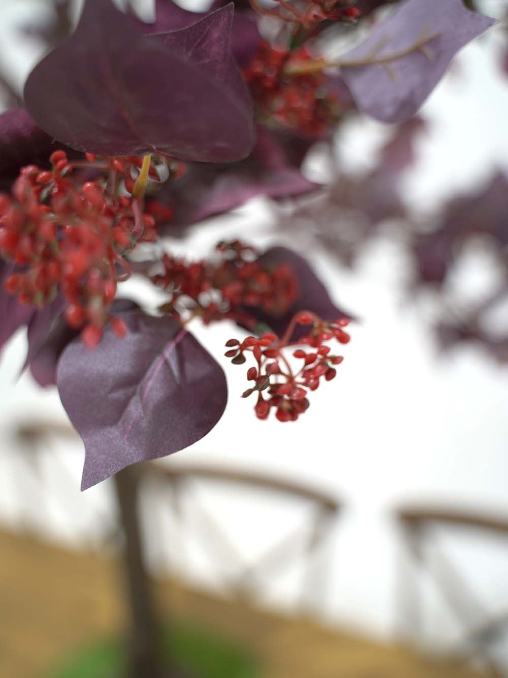 SN17452_Table Top Tree (1.8m) - Burgundy Foliage_Berry_event_prop_hire_EPH_Creative (17) copy _optimised