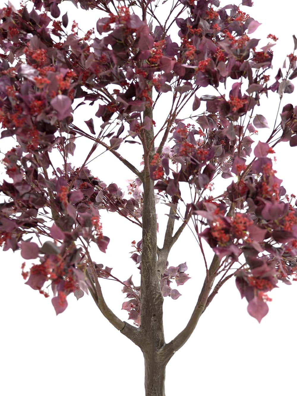 SN17454_Tall Trunk Tree (3.5m) - Burgundy Foliage_Berry_event_prop_hire_EPH_Creative (12) copy _optimised