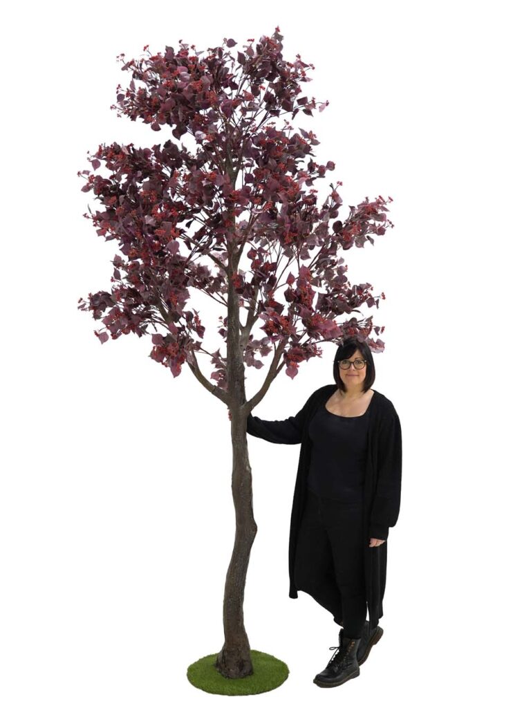 Tall Trunk Tree (3.5m) – Burgundy Foliage/Berry