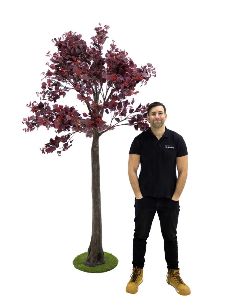 Medium Trunk Tree (2.7m) – Burgundy Foliage/Berry