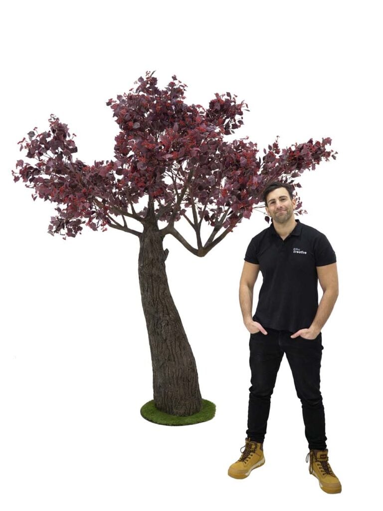 Thick Trunk Tree (2.9m) – Burgundy Foliage/Berry