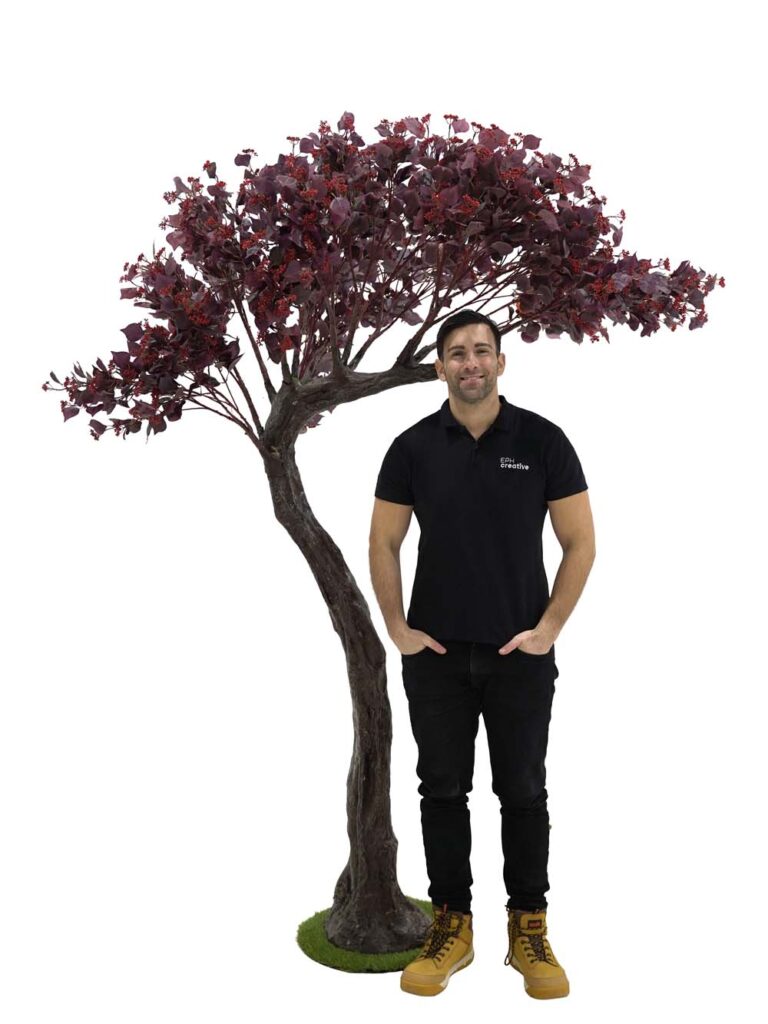 Short Canopy Tree (2.5m) – Burgundy Foliage/Berry