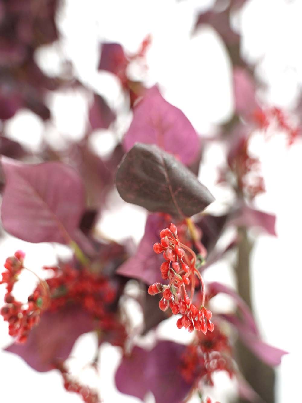 SN17458_Giant Tree (5m) - Burgundy Foliage_Berry_event_prop_hire_EPH_Creative (13) copy _optimised