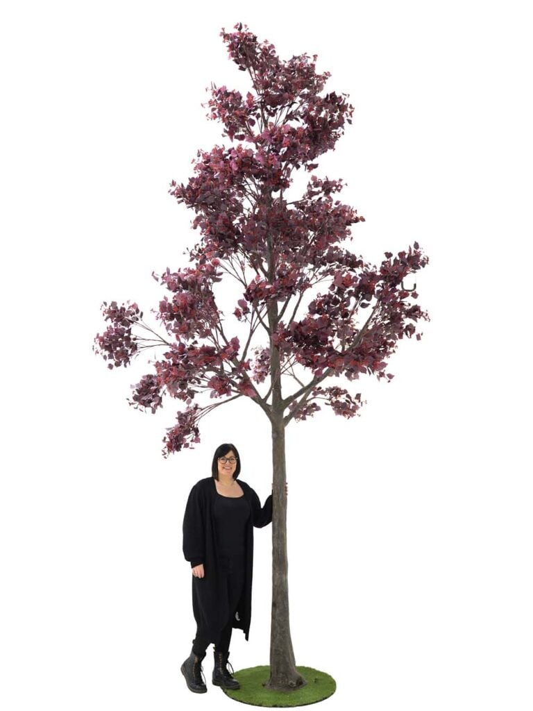 Giant Tree (5m) – Burgundy Foliage/Berry