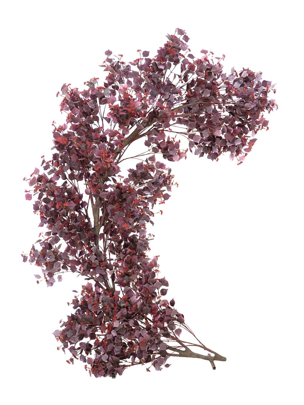SN17462_Half Moon Gate - Burgundy Foliage_Berry_event_prop_hire_EPH_Creative (2) copy _optimised