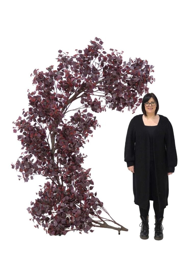 Half Moon Gate – Burgundy Foliage/Berry