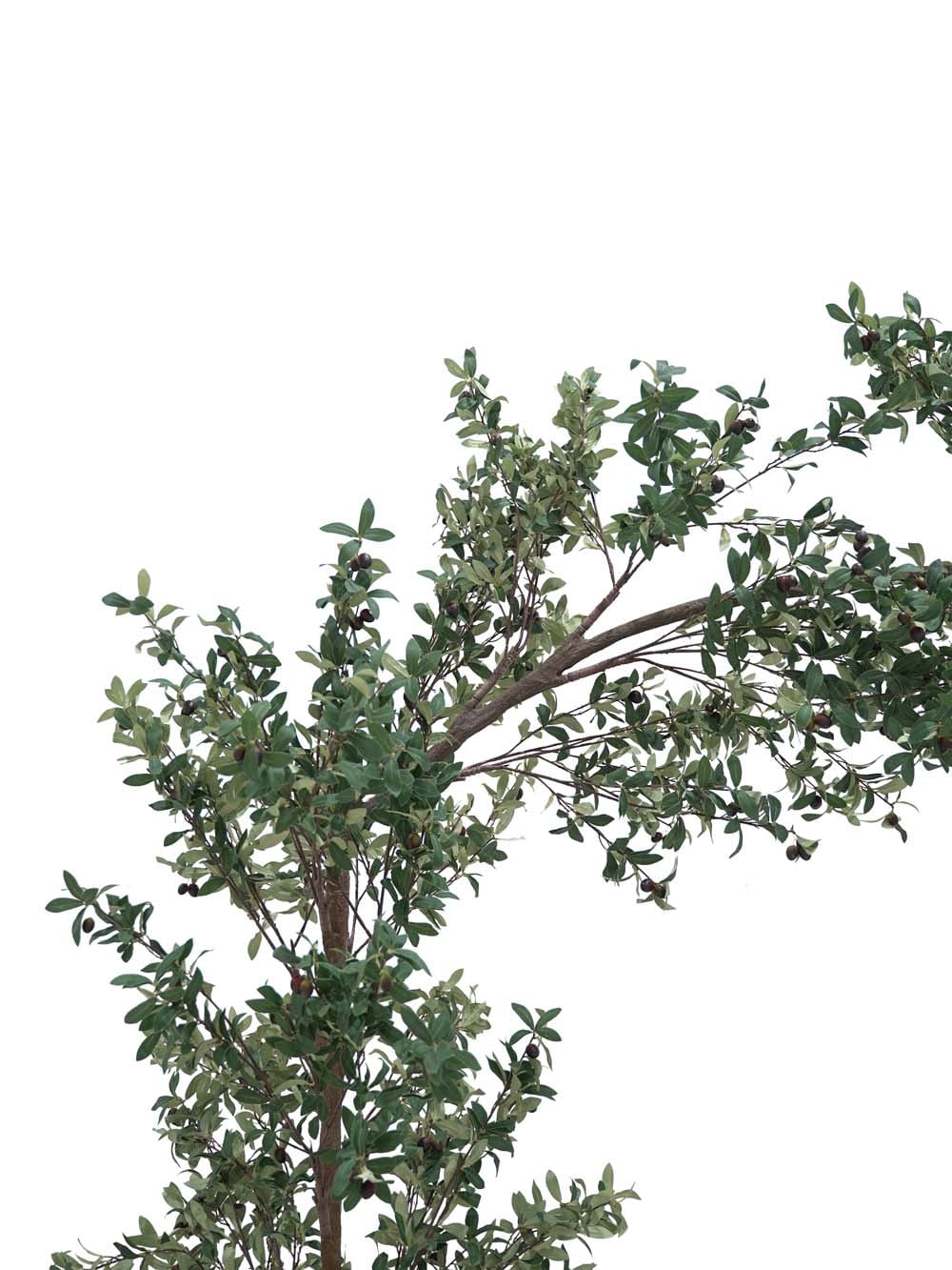 SN17499_Interchangeable Archway (2.8m) - Olive_event_prop_hire_EPH_Creative (14) copy _optimised