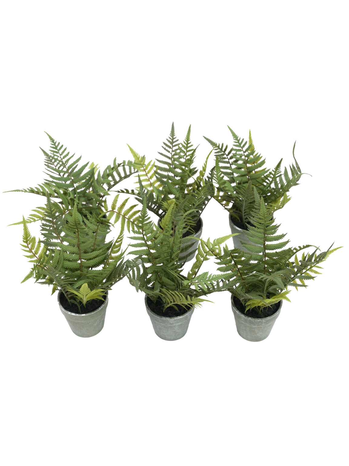 SN17589_Replica Potted Fern set of 6_event_prop_hire_EPH_Creative (1) copy