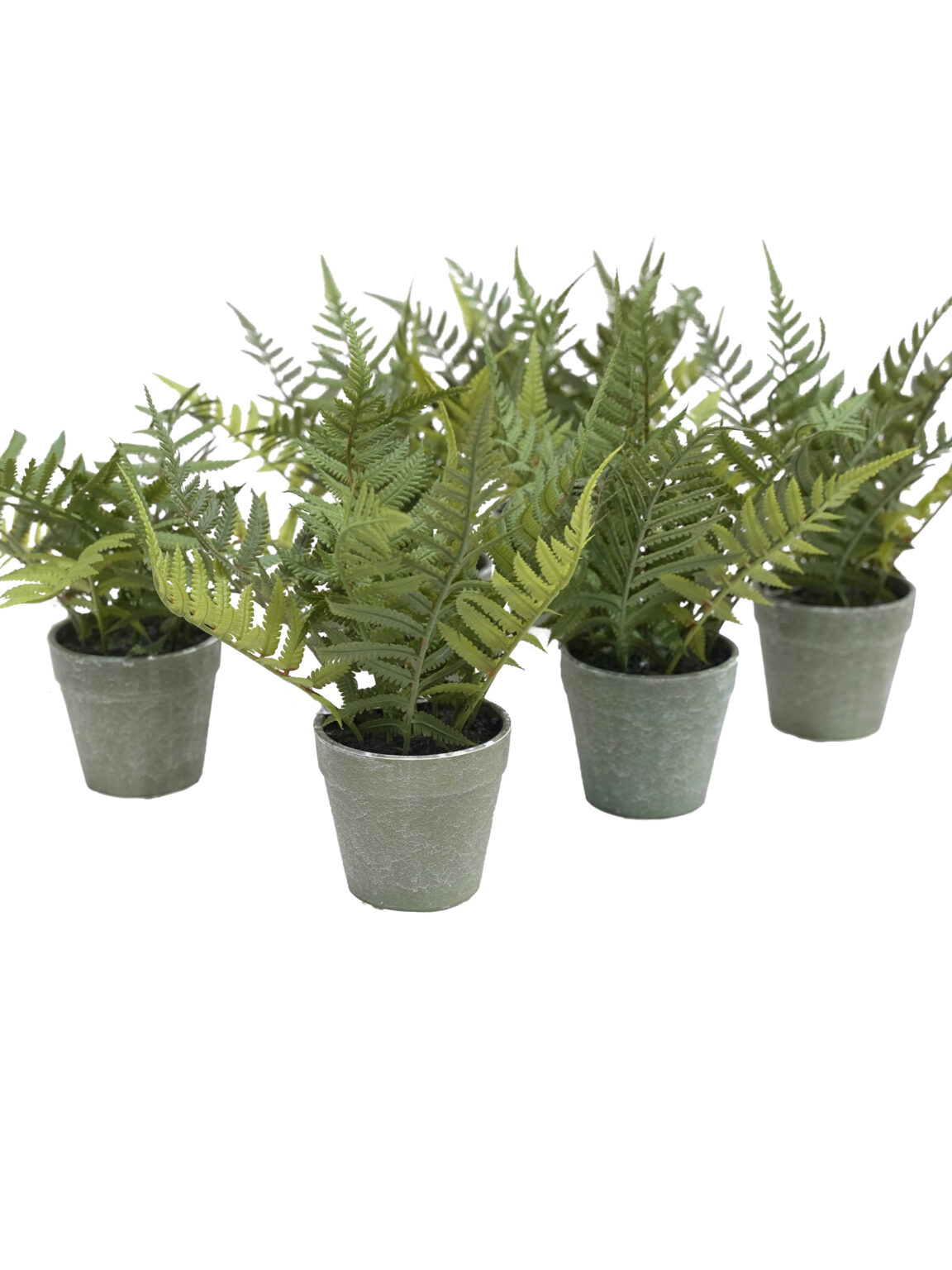 SN17589_Replica Potted Fern set of 6_event_prop_hire_EPH_Creative (3) copy