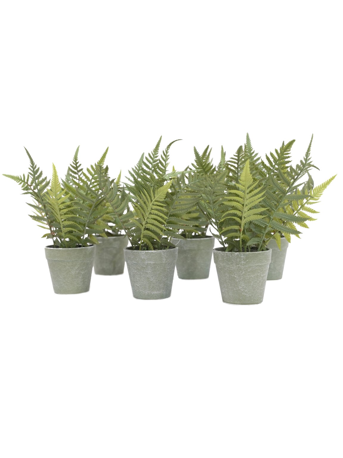 SN17589_Replica Potted Fern set of 6_event_prop_hire_EPH_Creative (4) copy