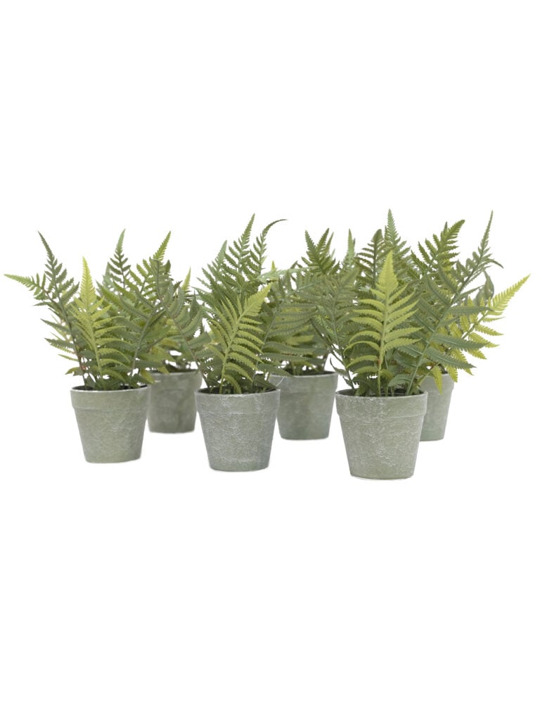 Replica Potted Fern set of 6