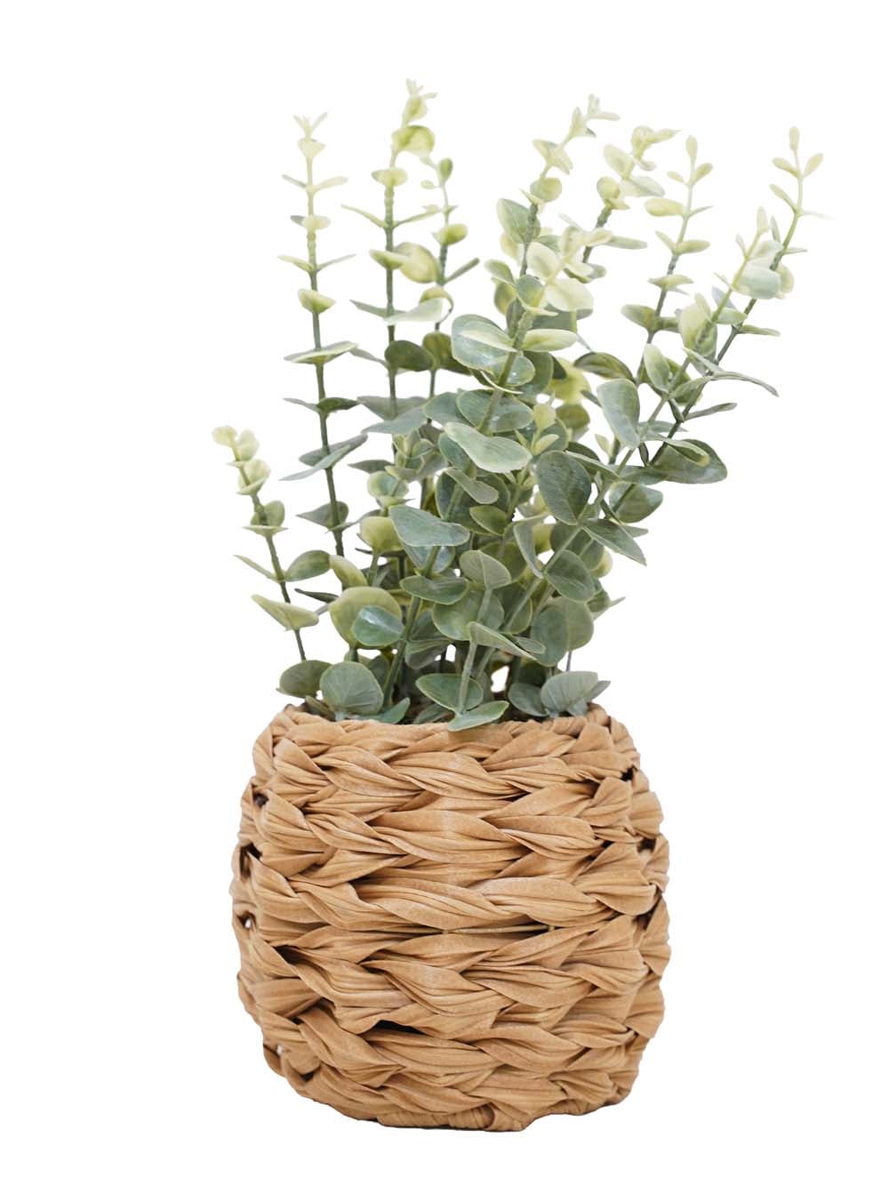 SN17681_Eucalyptus in Hyacinth Basket - 40cm_event_prop_hire_EPH_Creative (5) copy _optimised