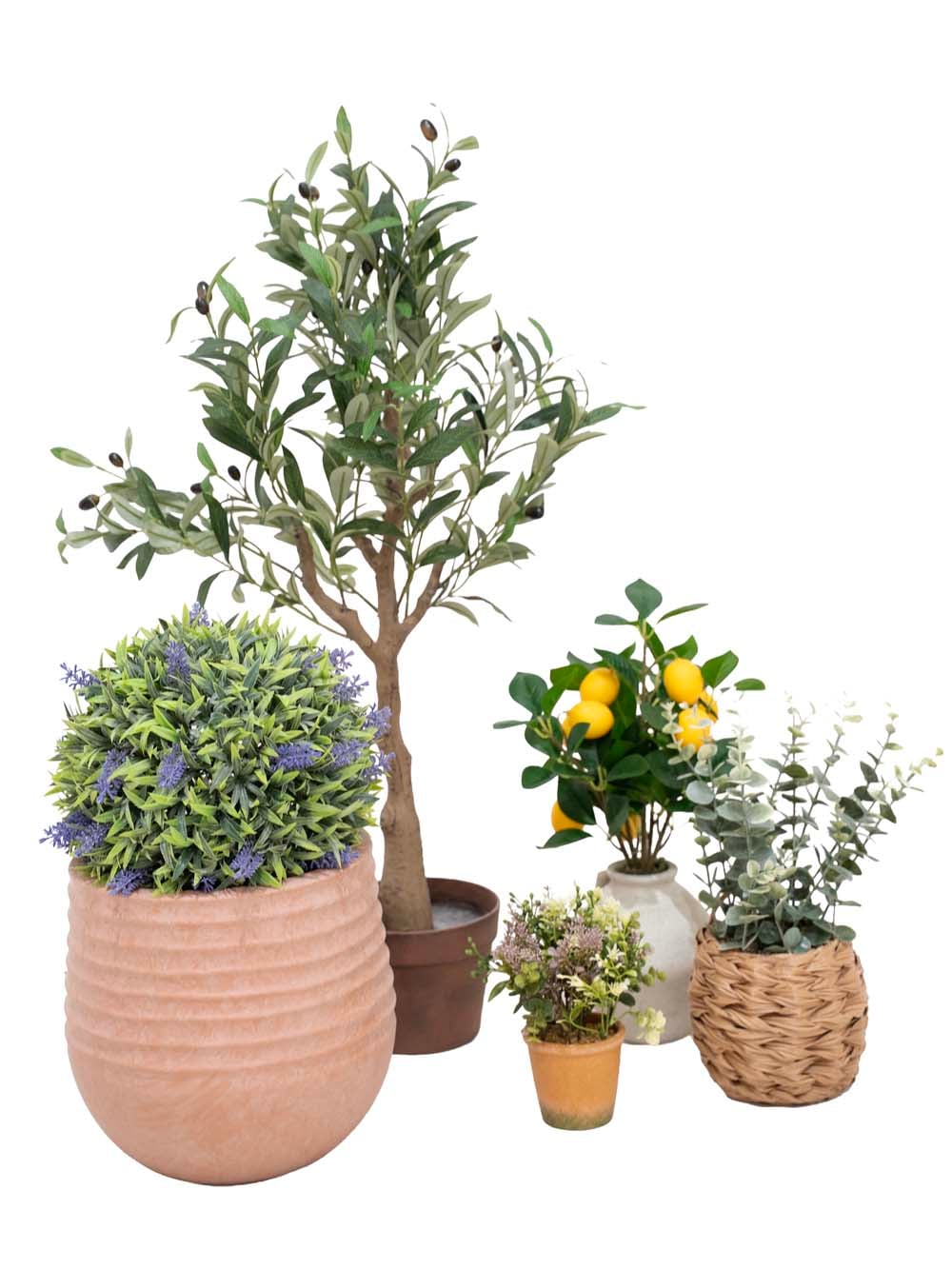 SN17683_Small Mediterranean Plant Set_event_prop_hire_EPH_Creative _optimised