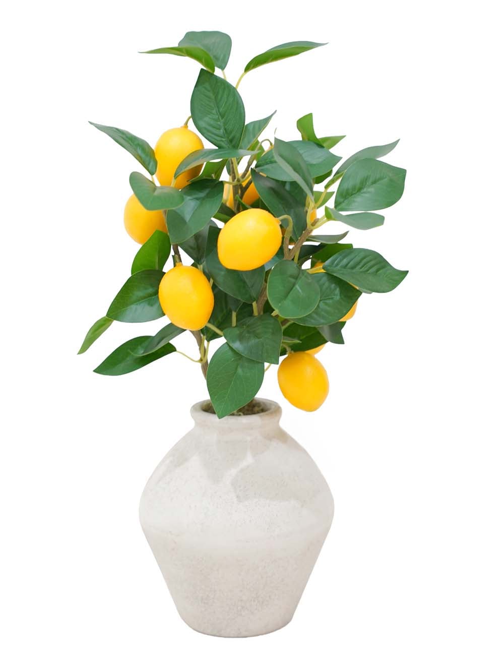 SN17685_Small Potted Lemon Tree - 47cm_event_prop_hire_EPH_Creative (4) copy _optimised