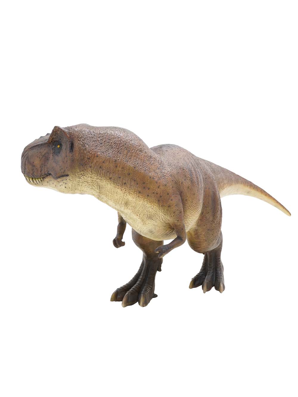 SN17709_T-Rex Dinosaur Prop_event_prop_hire_EPH_Creative (14) copy _optimised