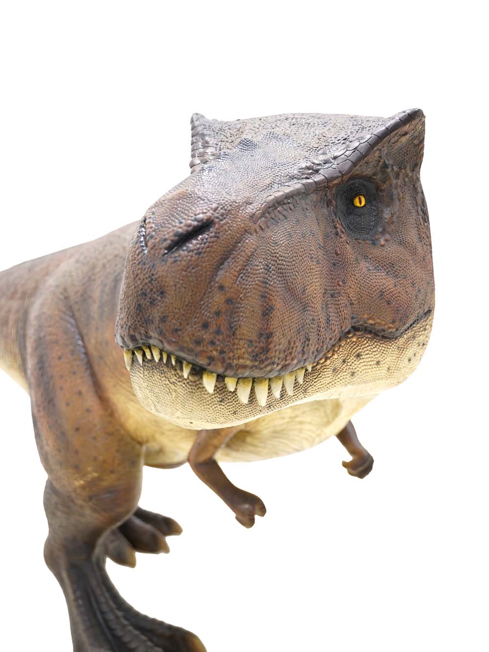 SN17709_T-Rex Dinosaur Prop_event_prop_hire_EPH_Creative (17) copy _optimised