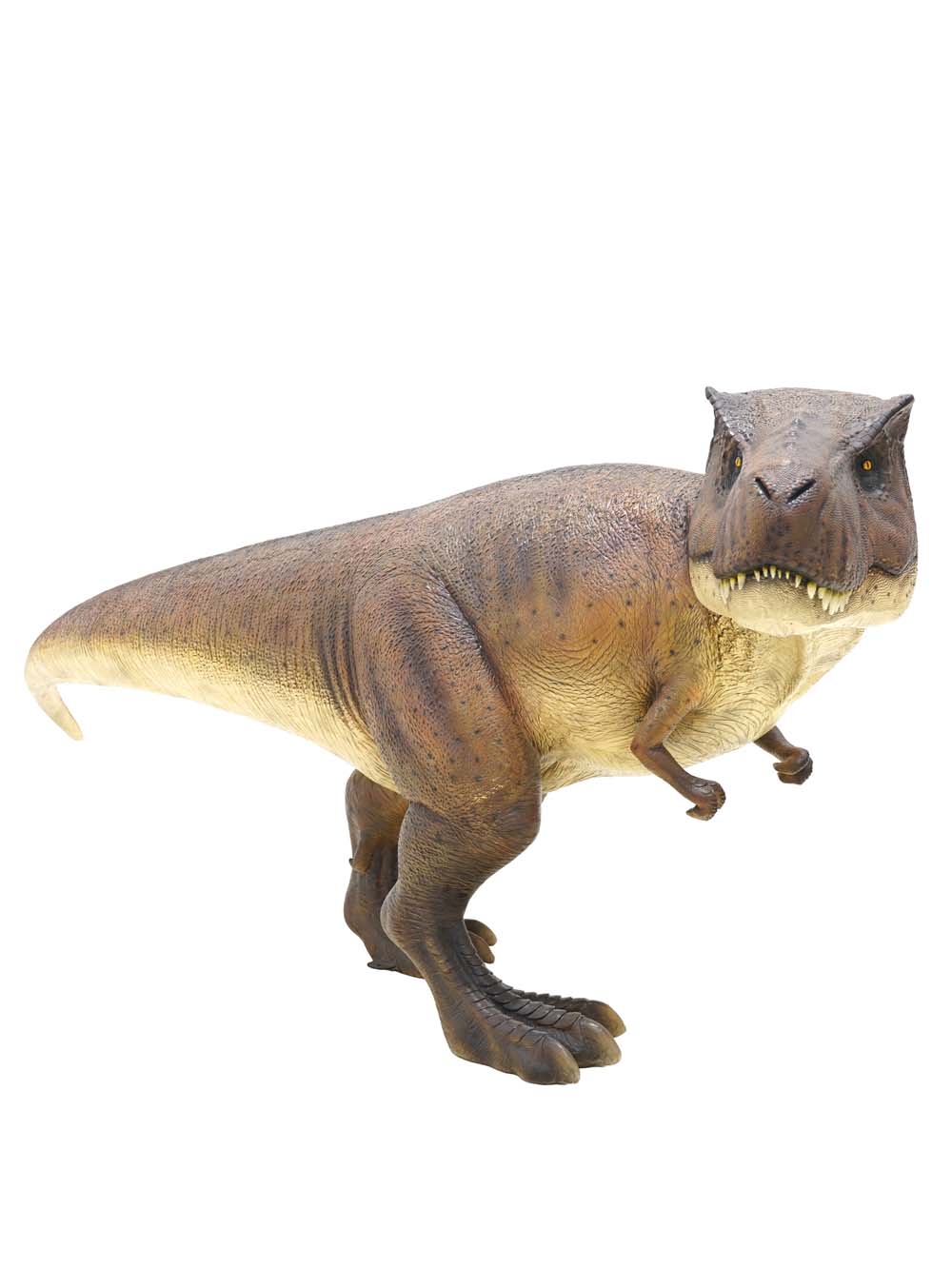 SN17709_T-Rex Dinosaur Prop_event_prop_hire_EPH_Creative (4) copy _optimised