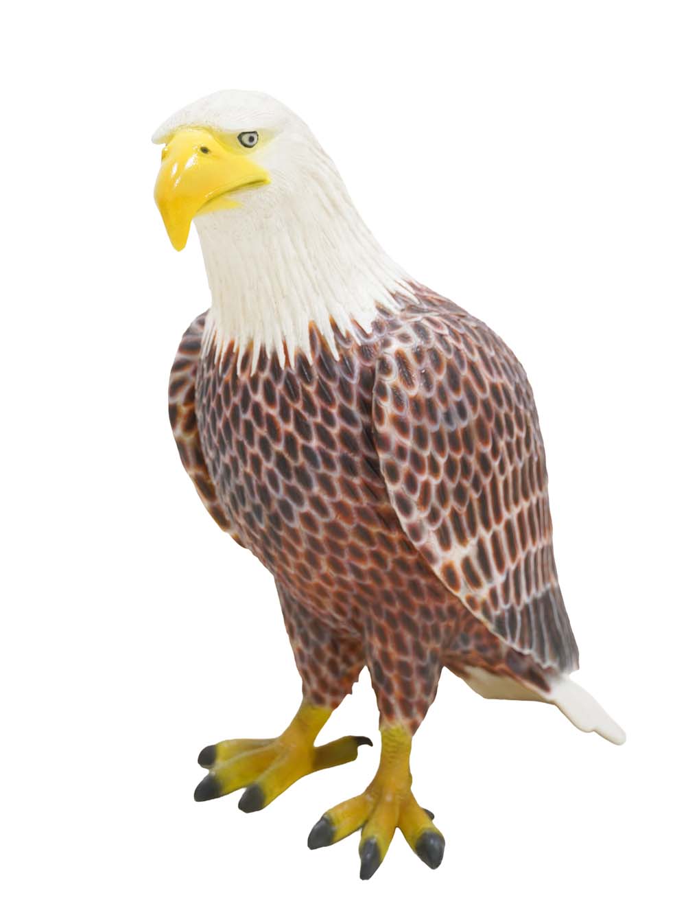 SN17710_American Eagle Prop_event_prop_hire_EPH_Creative (2) copy _optimised