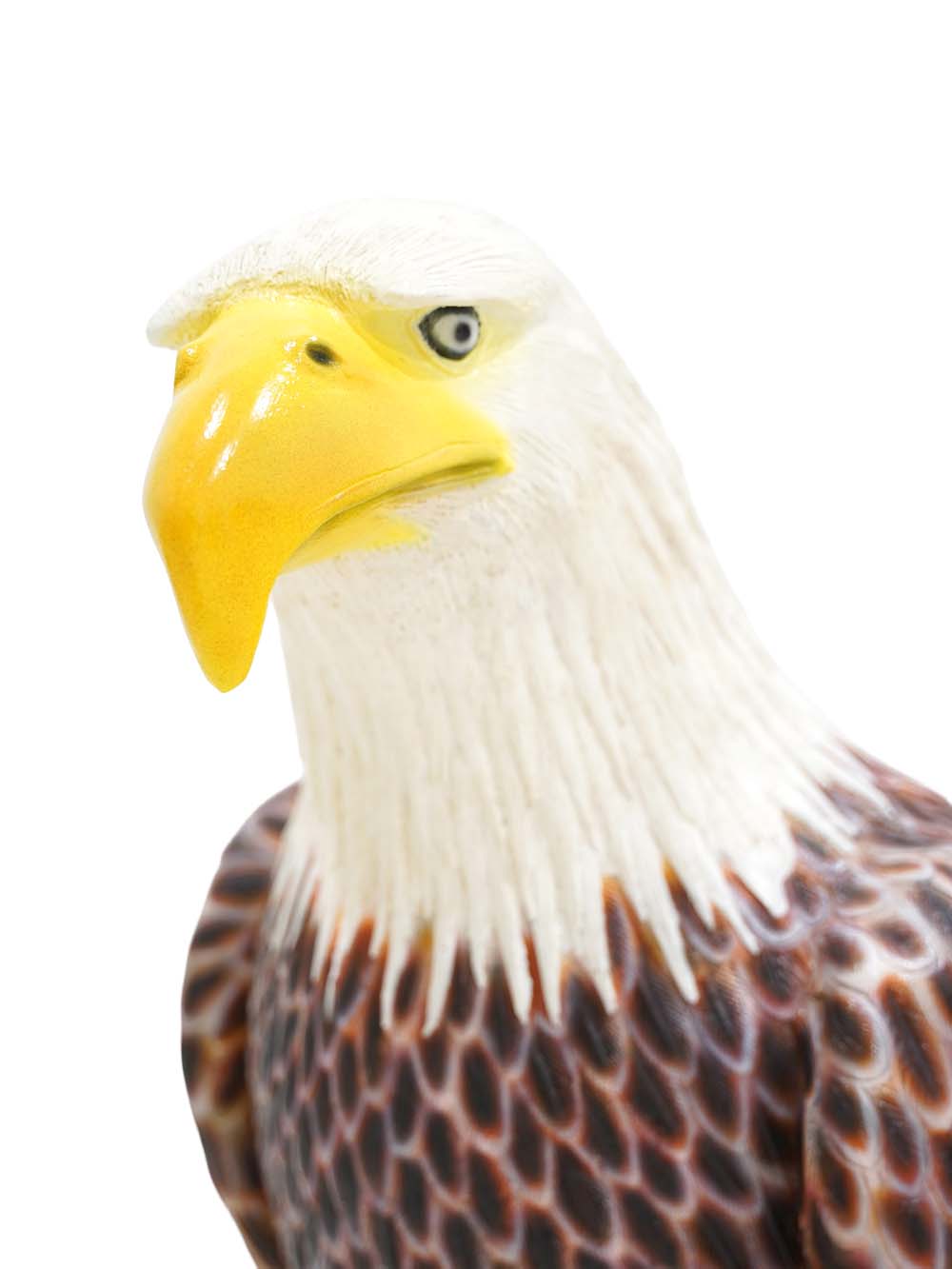 SN17710_American Eagle Prop_event_prop_hire_EPH_Creative (4) copy _optimised