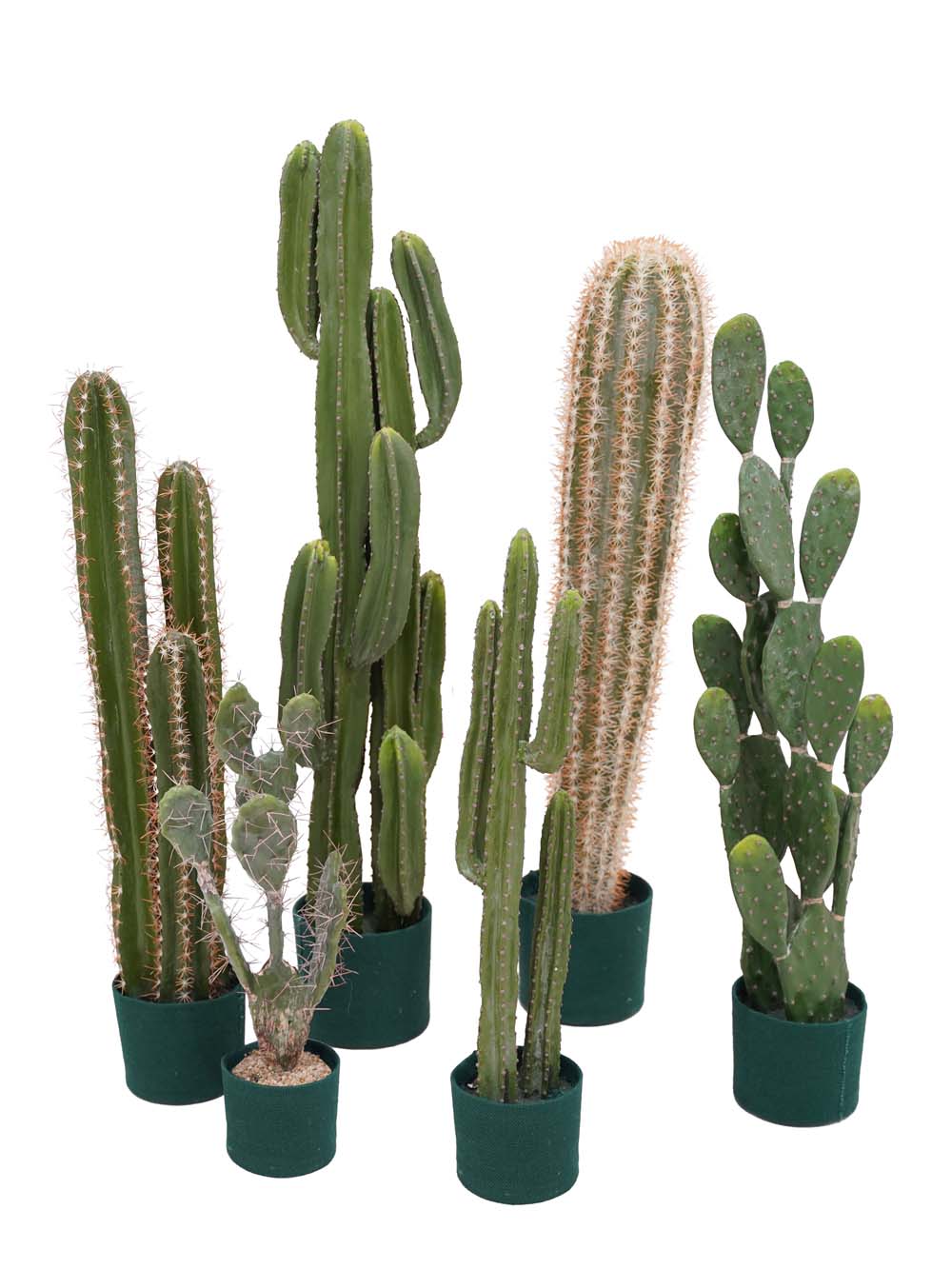 SN17803_Cactus Set - Medium_event_prop_hire_EPH_Creative (3) copy _optimised