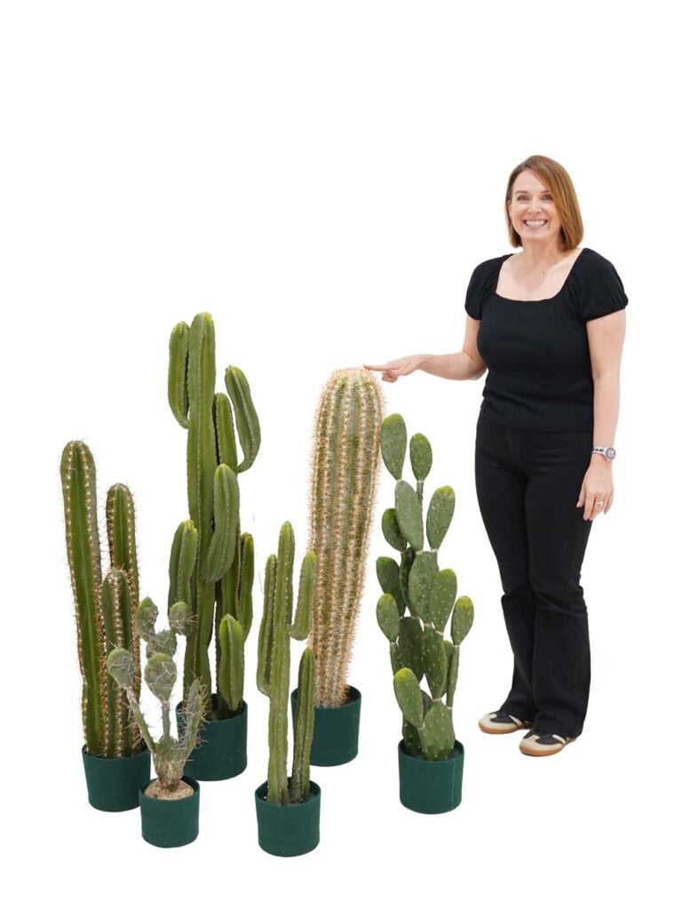 Cactus Set – Medium