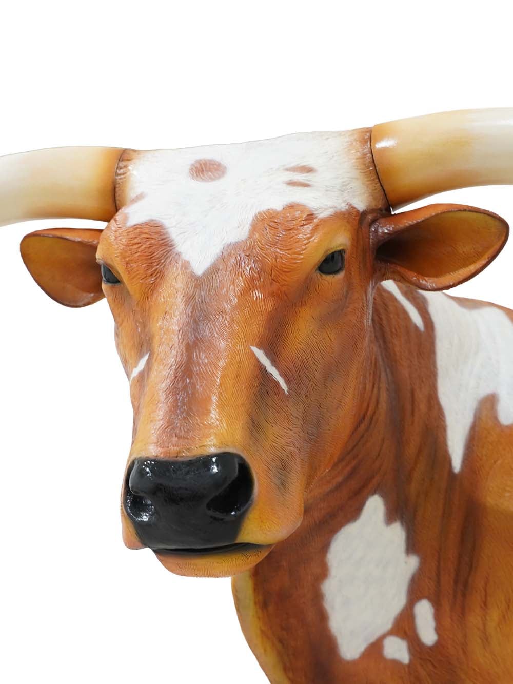 SN17744_Texas Longhorn Bull_event_prop_hire_EPH_Creative (1) copy _optimised