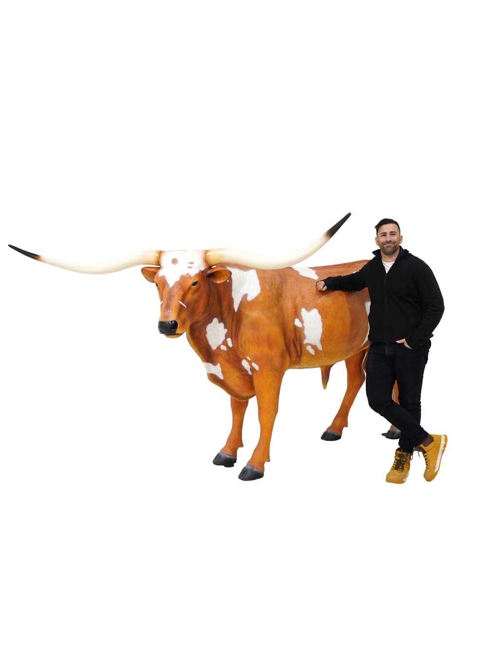 SN17744_Texas Longhorn Bull_event_prop_hire_EPH_Creative (3) copy _optimised