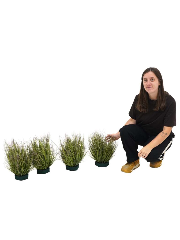 Green Grass Red Tip Bundle – 35cm – Set of 4