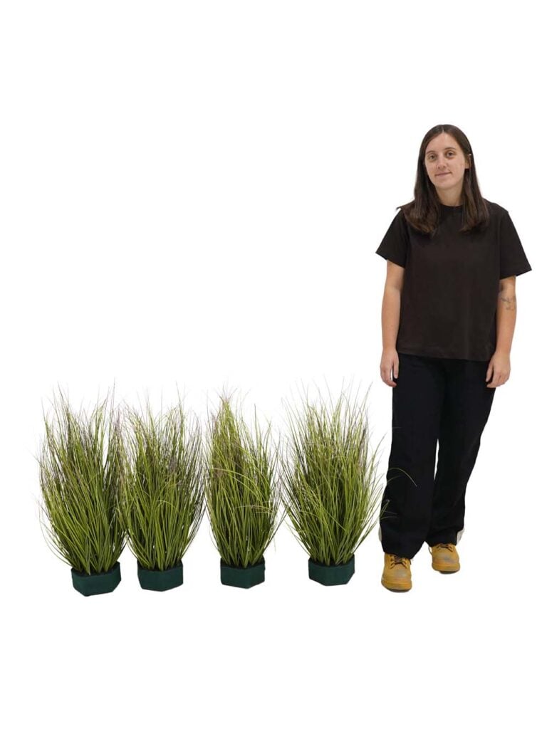 Green Grass Red Tip Bundle – 66cm – Set of 4