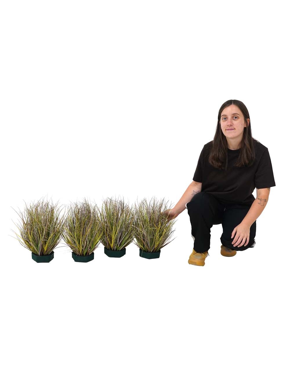 SN17831_Green Grass Variegated Bundle - 35cm - Set of 4_event_prop_hire_EPH_Creative (2) copy _optimised